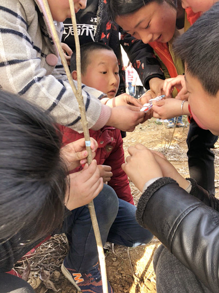 154118557092760524.jpg 154118557092760524.jpg